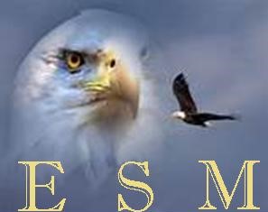 Eagle Soaring Management International